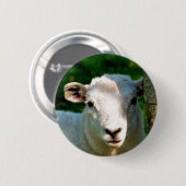 SCHAPEN RONDE BUTTON 5,7 CM (Voorkant /achterkant)