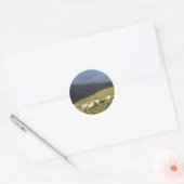 SCHAPEN RONDE STICKER (Envelop)