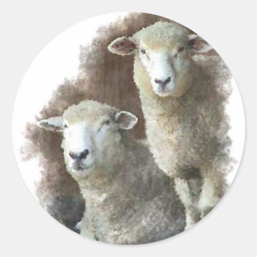 Schapen Ronde Sticker (Voorkant)