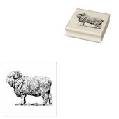  schapen 	rubberstempel (Gestempeld)