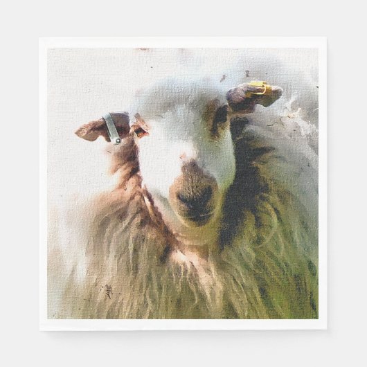 SCHAPEN SERVET (Voorkant)