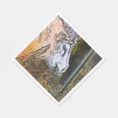 SCHAPEN SERVET (Hoek)