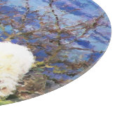 SCHAPEN SNIJPLANK (Hoek)