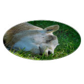 SCHAPEN SNIJPLANK (Hoek)