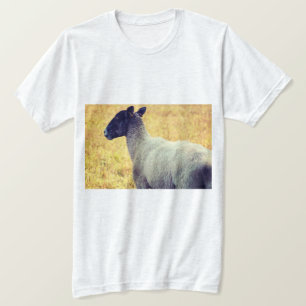 Schapen T-shirt