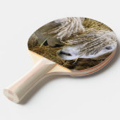 SCHAPEN TAFELTENNISBATJE (Voorkant Gekanteld)