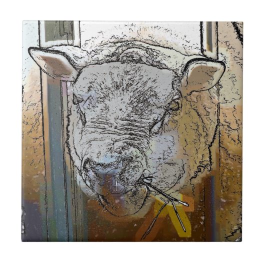 SCHAPEN TEGELTJE (Voorkant)