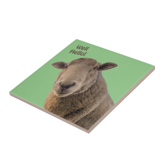 Schapen Tegeltje (Zijkant)