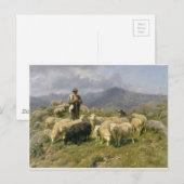 Schapen van de Pyreneeën door Rosa Bonheur Briefkaart (Voorkant / Achterkant)