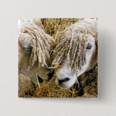 SCHAPEN VIERKANTE BUTTON 5,1 CM (Voorkant)