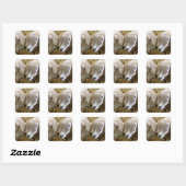 SCHAPEN VIERKANTE STICKER (Vel)