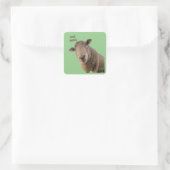 Schapen Vierkante Sticker (Tas)