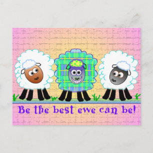 Schapen Wenskaarten Briefkaart