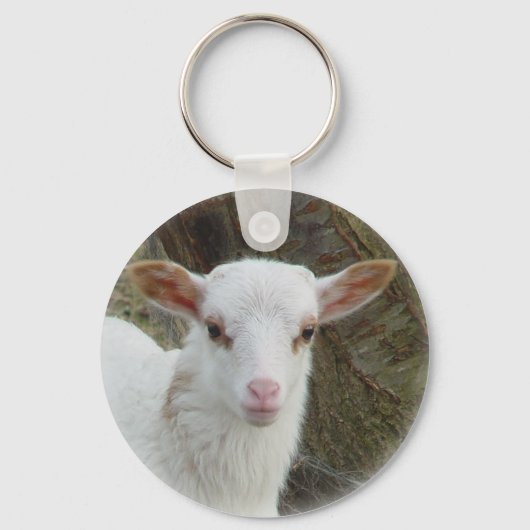 Schapen - Witte lammeren Sleutelhanger (Voorkant)