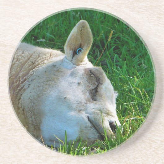 SCHAPEN ZANDSTEEN ONDERZETTER (Voorkant)