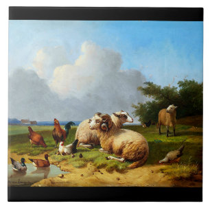 Schapendeeg  Eenden kippen Boerderij Tile Tegeltje