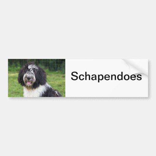 schapendo bumpersticker (Voorkant)