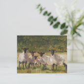 Schapenfamilie Briefkaart (Staand voorkant)