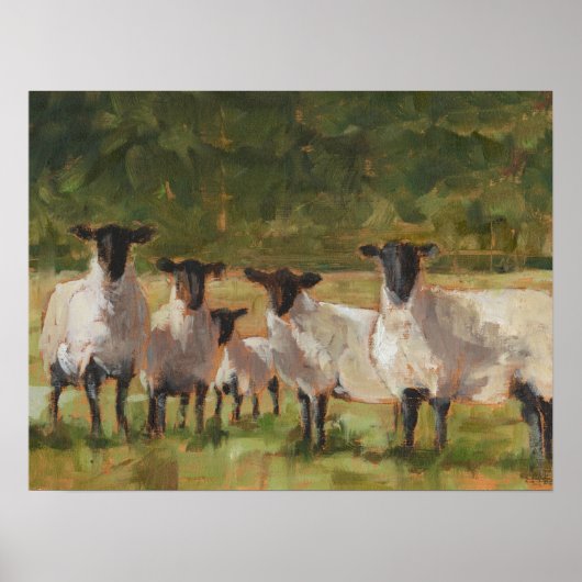 Schapenfamilie Poster (Voorkant)