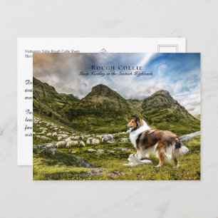 Schapenherder Sable Rough Collie - Collectibel Briefkaart
