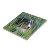 Schapenhond in gras tegeltje (Zijkant)