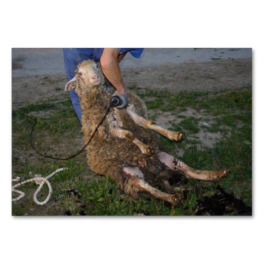 Schapenhoorzitting Kaart (Voorkant)