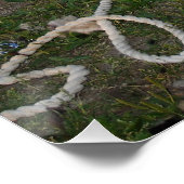 Schapenhoorzitting Perfect Poster (Hoek)