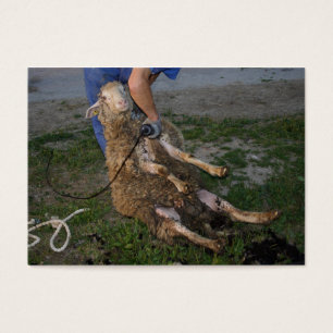 Schapenhoorzitting Visitekaartje