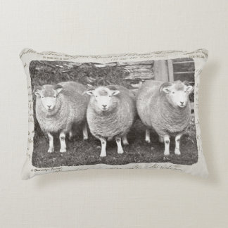 schapenhouderijen in crèmes en grays. accent kussen