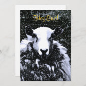 SCHAPENINVITATIE (Voorkant / Achterkant)