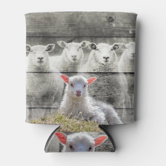 Schapenkoppel Baby Lamb Koelbox Blikjeskoeler (Voorkant)