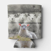 Schapenkoppel Baby Lamb Koelbox Blikjeskoeler (Achterkant)