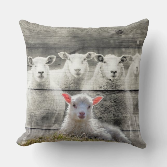 Schapenkoppel Baby Lamb Lumbar Pillow Kussen (Voorkant)