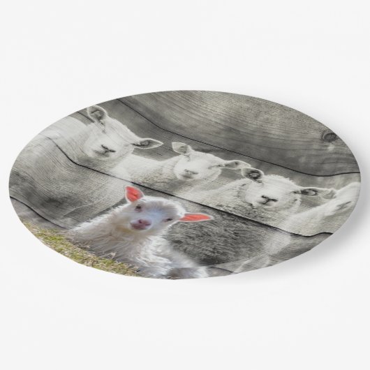 Schapenkoppel Baby lampvoet Papieren Bordje (Gekanteld)