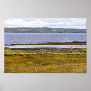 Schapenkoraal door een Fjord, IJsland Poster