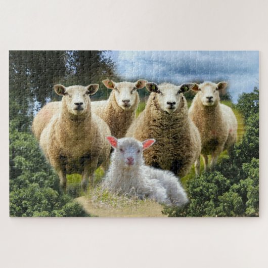 Schapenkudde Schapen Baby Lamb Legpuzzel (Horizontaal)