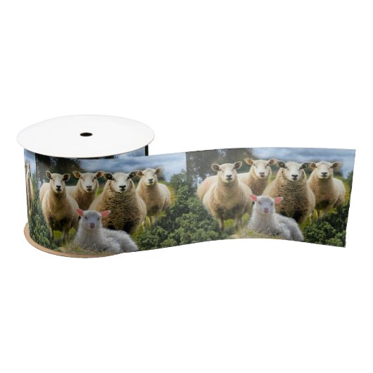 Schapenkudde Schapen Baby Lamb Lint (Spoel)