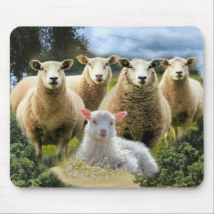 Schapenkudde Schapen Baby Lamb Muismat