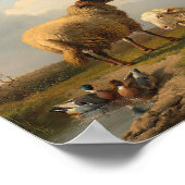 Schapenlam en eenden | Eugène Joseph Verboeckhoven Poster (Hoek)