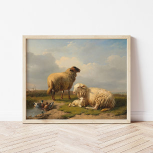 Schapenlam en eenden   Eugène Joseph Verboeckhoven Poster