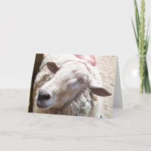 Schapenlam van God Christelijk wenskaart Kaart