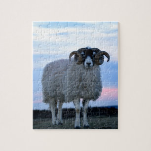 Schapenpuzzel met tin legpuzzel