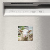 Schapentong show magneet (Insitu (Vaatwasser))