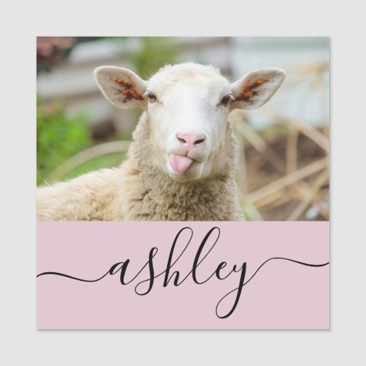 Schapentong show naamplaatje (Voorkant)