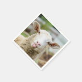 Schapentong show servet (Hoek)