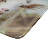 Schapentong show snijplank (Hoek)