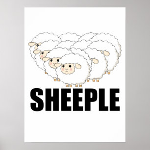 Schapenvraag Er blijft niets mis - schapen Poster
