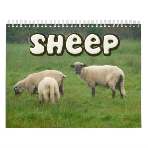 Schapenwand Agenda Kalender