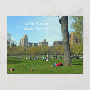 Schapenweide, Central Park, NYC Briefkaart