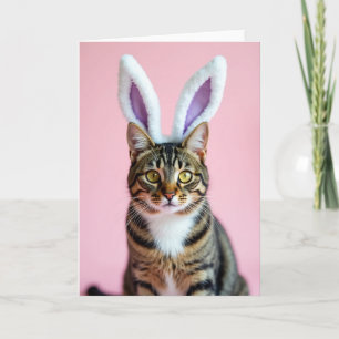 Scharde Kat Met Oor Portretkaart Kaart